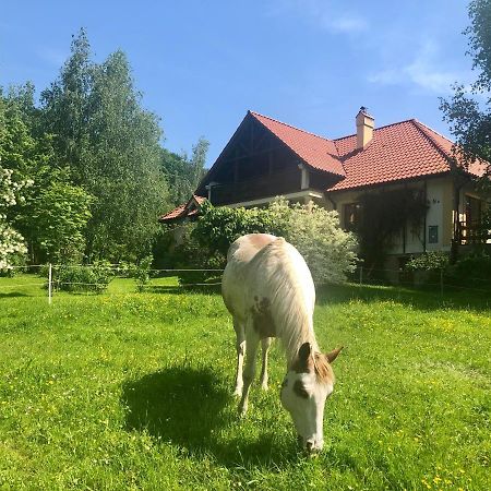 Bed and Breakfast Modryna Ranczo Krasiczyn Exterior foto
