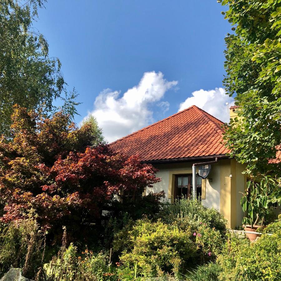 Bed and Breakfast Modryna Ranczo Krasiczyn Exterior foto