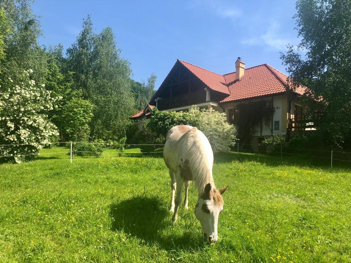 Bed and Breakfast Modryna Ranczo Krasiczyn Exterior foto